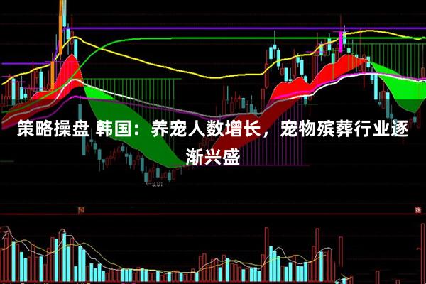 策略操盘 韩国：养宠人数增长，宠物殡葬行业逐渐兴盛