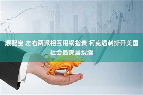 顺配宝 左右两派相互甩锅指责 柯克遇刺撕开美国社会最深层裂缝