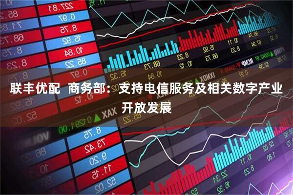 联丰优配  商务部：支持电信服务及相关数字产业开放发展