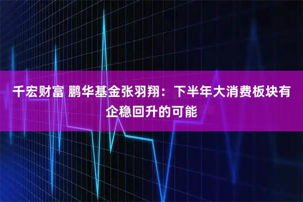 千宏财富 鹏华基金张羽翔：下半年大消费板块有企稳回升的可能
