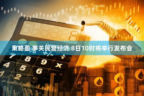 策略盈 事关民营经济 8日10时将举行发布会