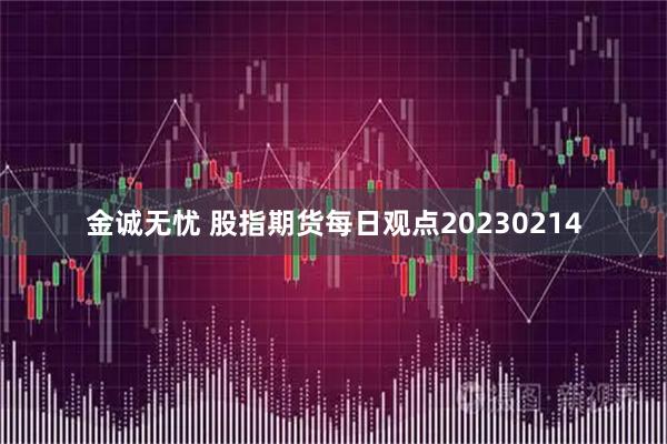 金诚无忧 股指期货每日观点20230214