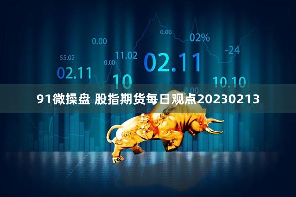 91微操盘 股指期货每日观点20230213
