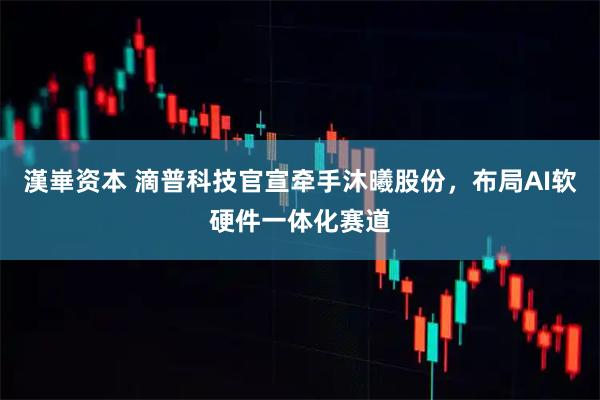 漢崋资本 滴普科技官宣牵手沐曦股份，布局AI软硬件一体化赛道
