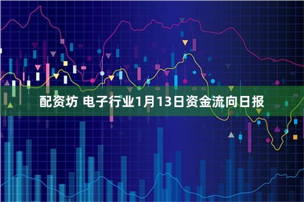 配资坊 电子行业1月13日资金流向日报