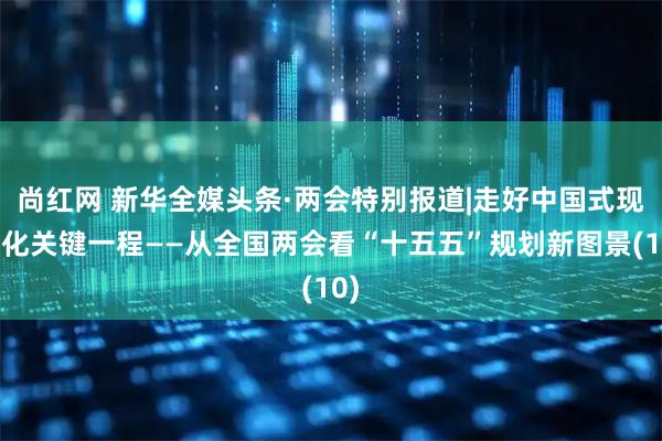 尚红网 新华全媒头条·两会特别报道|走好中国式现代化关键一程——从全国两会看“十五五”规划新图景(10)